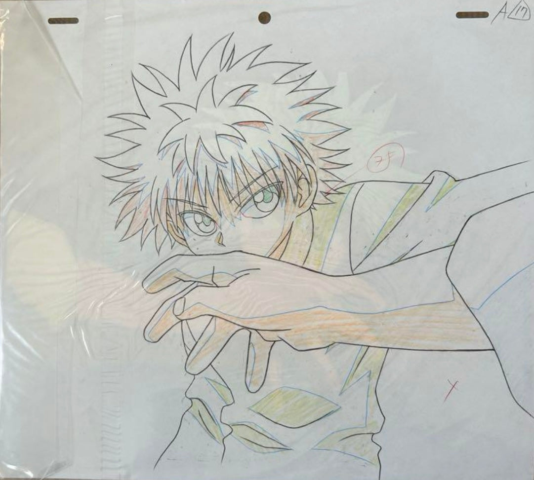 HUNTER × HUNTER